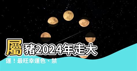 2024屬豬幸運色